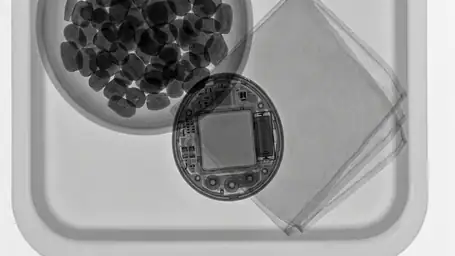 Pou im Jahr 2025: Warum das digitale Haustier noch immer funktioniert header