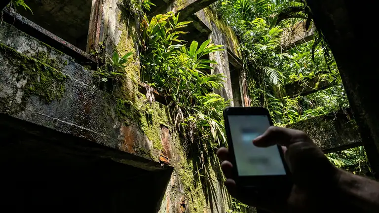 Temple Run 2: Endless Escape – Revolutionäre Updates im Dschungel header