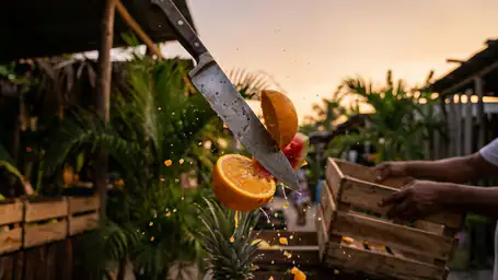 Fruit Ninja®: El Regreso Triunfal de un Clásico en la Era Digital header