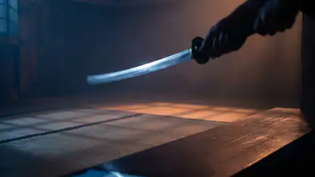 Shadow Fight 3 : Maîtrisez l'Art du Combat Stratégique header