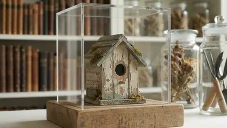 Gardenscapes: मोबाइल गेमिंग में सांस्कृतिक जुड़ाव की नई परिभाषा header