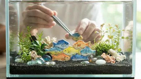 フィッシュダム(Fishdom)の魅力とライバルゲームとの徹底比較 header