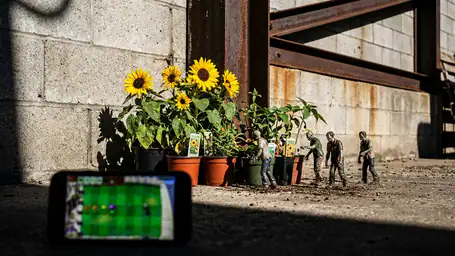Plants vs. Zombies™: AndroidとiOSのアップデートで新戦略を探索 header