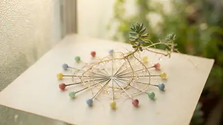 Pinterest(핀터레스트) 업데이트가 라이프스타일을 어떻게 변화시키는가 header